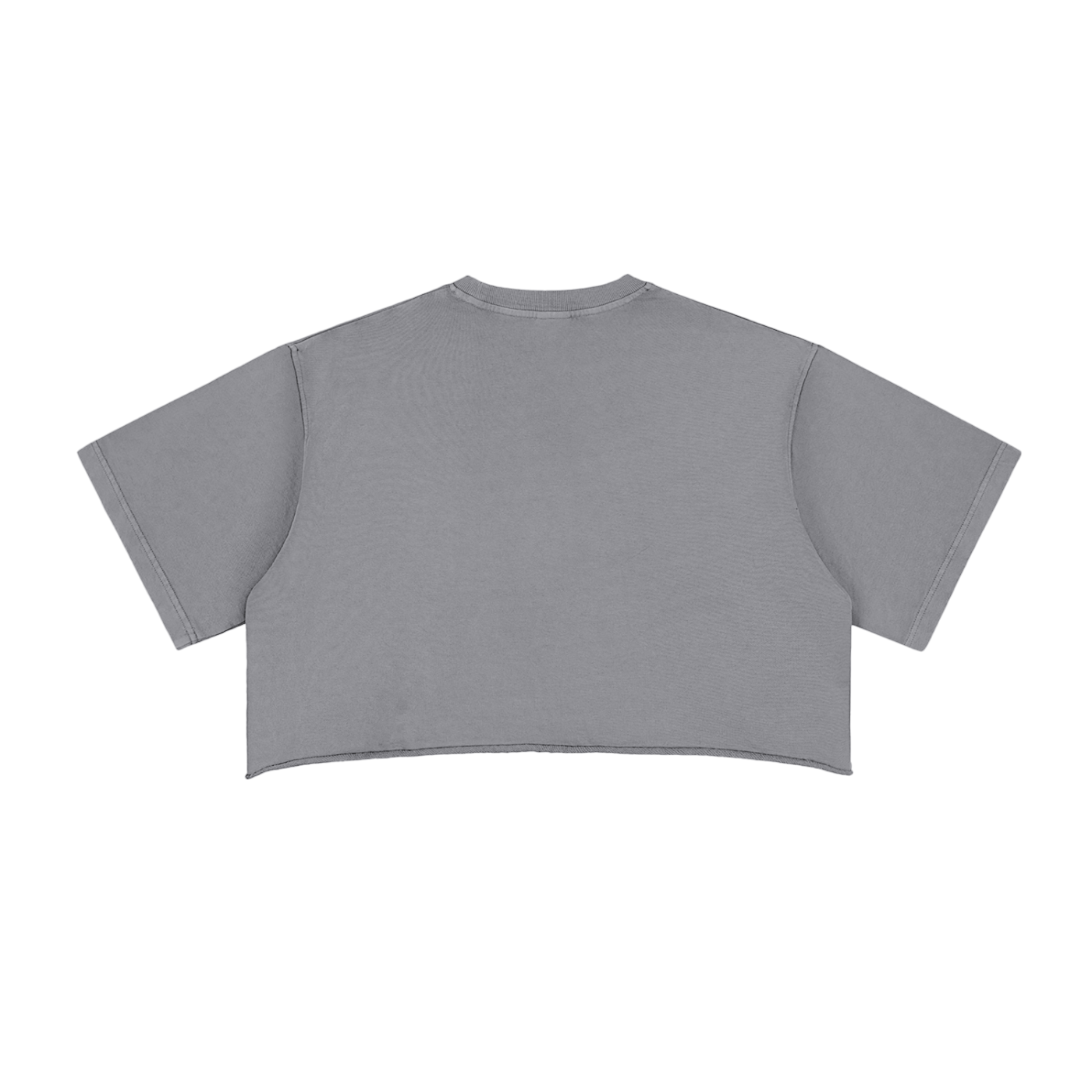 Clockwork Snow Washed Raw Edge Crop Top