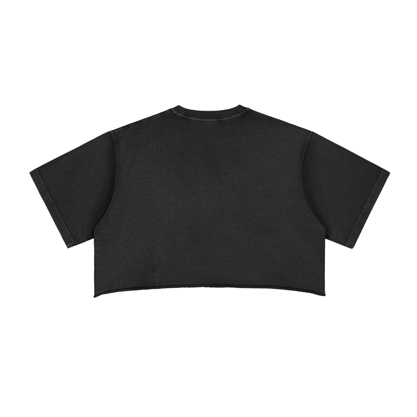 Clockwork Snow Washed Raw Edge Crop Top
